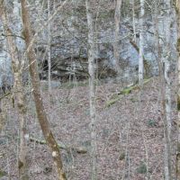 18.65 AC IN THE HILLS OF KY UNDEVELOPED CAVE - CREEK WAY IN THE COUNTRY images 2