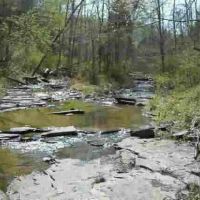 18.65 AC IN THE HILLS OF KY UNDEVELOPED CAVE - CREEK WAY IN THE COUNTRY images 3