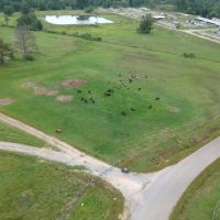 The Waide Farm Pasture amp Creek images 4