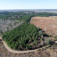 Ritter Salkehatchie images 2
