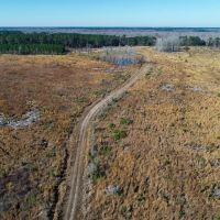 Ritter Salkehatchie images 3