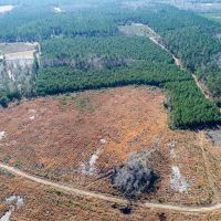 Ritter Salkehatchie images 4