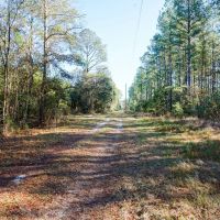 Ritter Salkehatchie images 5
