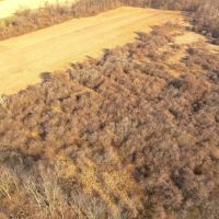 Great Building Site Lot 2 in Madison County IN - 12 - Acres images 3