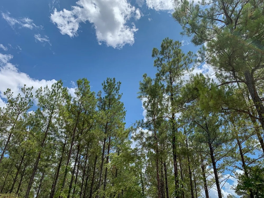 240 Acres The Game Preserve featured image