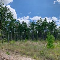 240 Acres The Game Preserve images 2