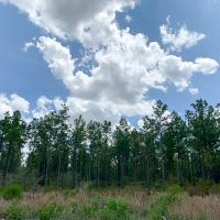240 Acres The Game Preserve images 3