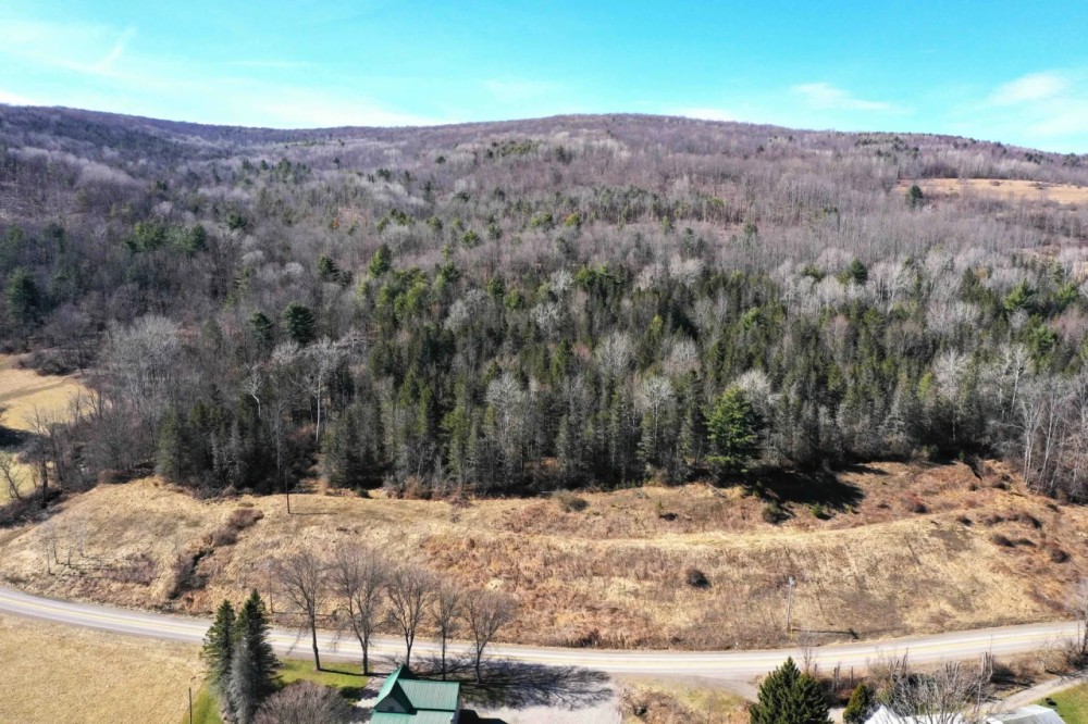 226 acres Hunting and Recreational Property in Jasper NY Milwaukee Rd featured image
