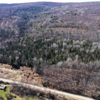 226 acres Hunting and Recreational Property in Jasper NY Milwaukee Rd images 3