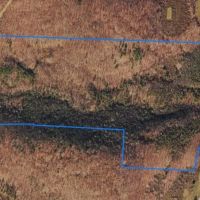 226 acres Hunting and Recreational Property in Jasper NY Milwaukee Rd images 4