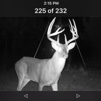 Beautiful 2,800 acres near Hemphill TX.