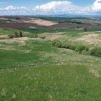 Howerton Spring Ranch images 2