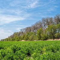 Heigel Hunt 106 images 5
