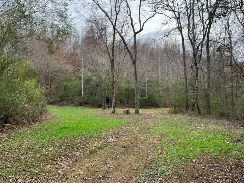 60 - Acres Lauderdale County featured image