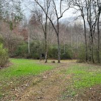 60 - Acres Lauderdale County