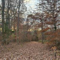 60 - Acres Lauderdale County images 2