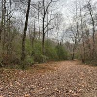 60 - Acres Lauderdale County images 3
