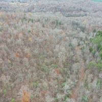 60 - Acres Lauderdale County images 4