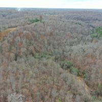 60 - Acres Lauderdale County images 5