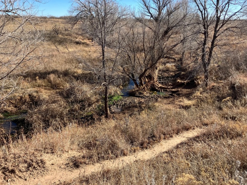 Bryan Ranch featured image