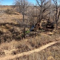 Bryan Ranch