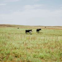 The Dillon Ranch images 2