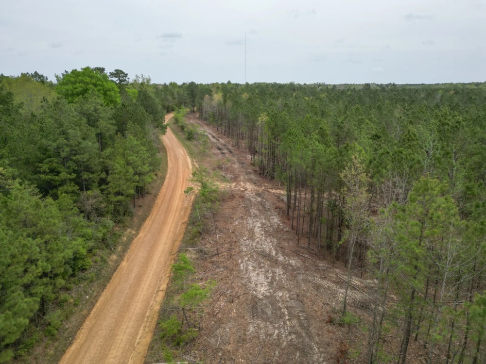 LA - Caldwell 125 acres - featured image