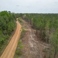 LA - Caldwell 125 acres -