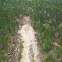 LA - Caldwell 125 acres - images 3