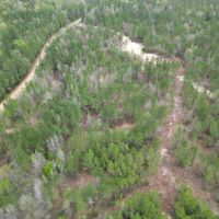 LA - Caldwell 125 acres - images 4