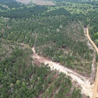 LA - Caldwell 125 acres - images 5