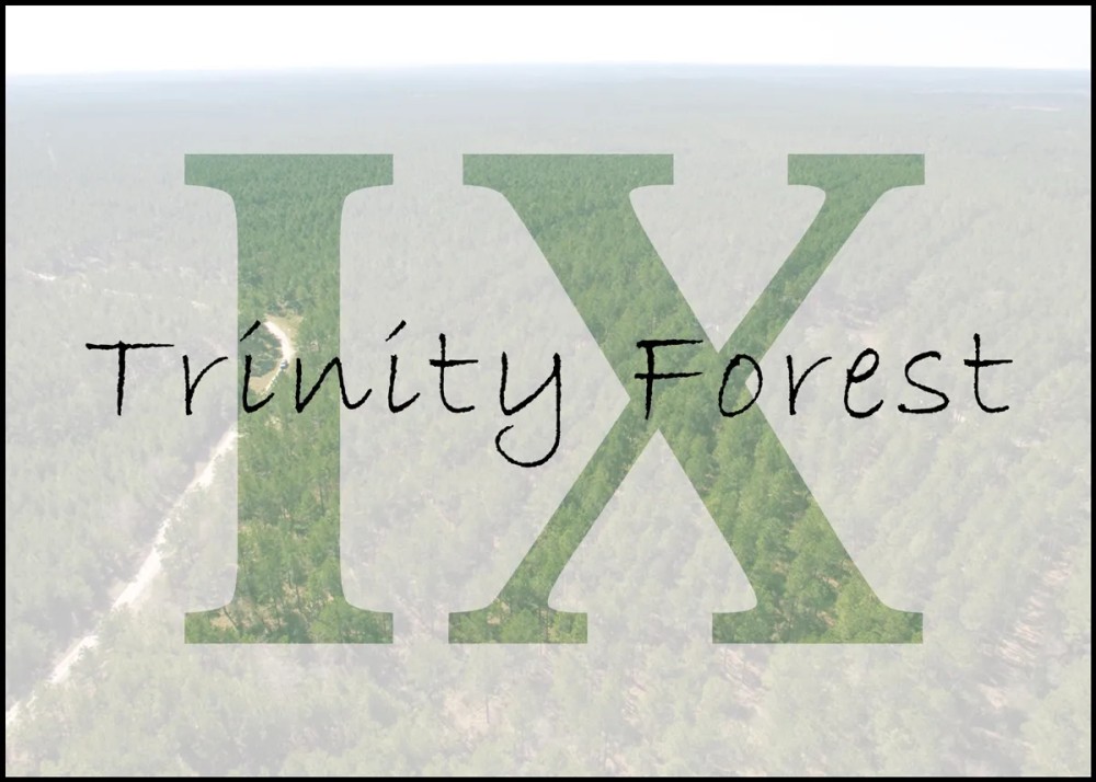 13 Acres 9E Trinity Forest IX featured image