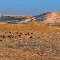 Dakota Partnership Ranch images 5