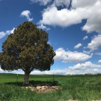 Schock Ranch on the North Fork images 3