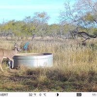 Small High-Fence opportunity images 2