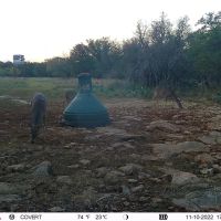 Small High-Fence opportunity images 4