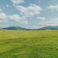 Sims Creek Ranch images 3