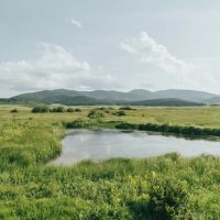 Sims Creek Ranch images 4