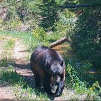 Copper Ridge Ranch images 4