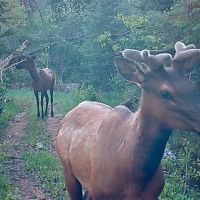 Copper Ridge Ranch images 5