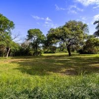 -53 acres CR 223 Weimar TX Colorado County images 2