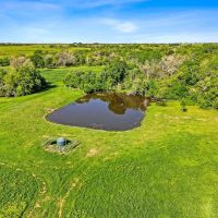 -53 acres CR 223 Weimar TX Colorado County images 4