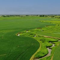 Spring Family Farm images 3