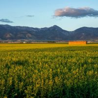 Spring Family Farm images 4
