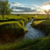 Spring Family Farm images 5