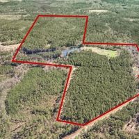 Hunting Land for Sale with Camp Stone Perry County