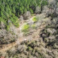 Hunting Land for Sale with Camp Stone Perry County images 4