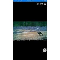 Homochitto Getaway images 4