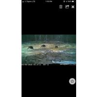 Homochitto Getaway images 5