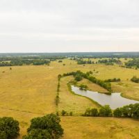 White Oak Cattle East Ranch images 4